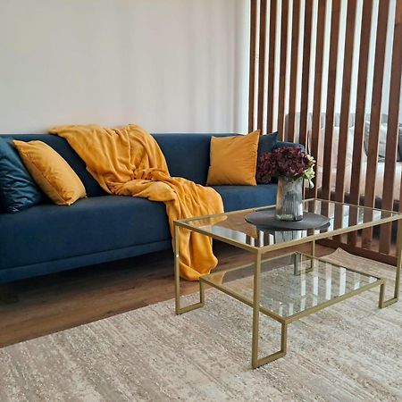 Mountain Breeze Luxury Apartment Ac & Parcare Privata ブラショフ エクステリア 写真