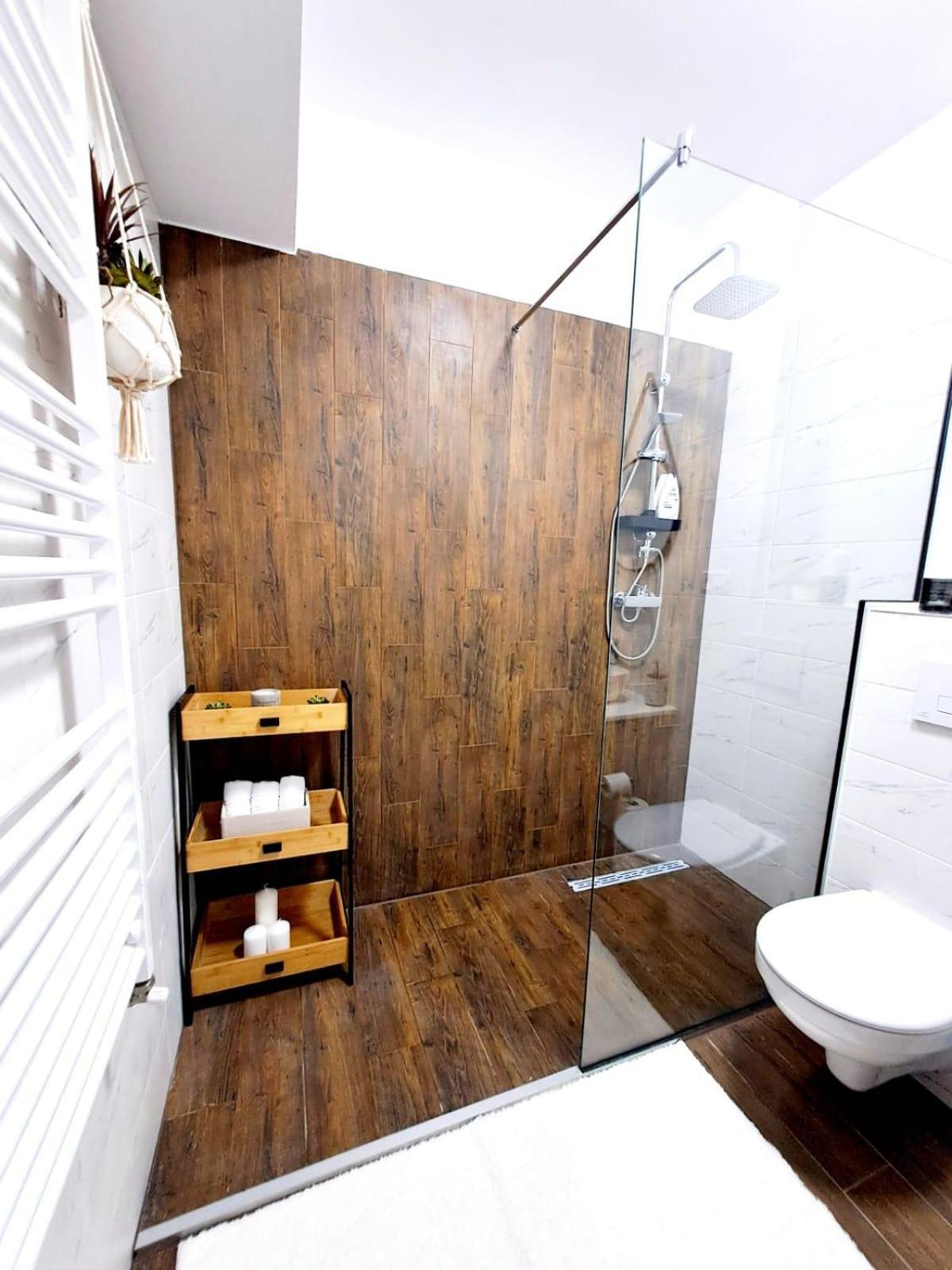 Mountain Breeze Luxury Apartment Ac & Parcare Privata ブラショフ エクステリア 写真