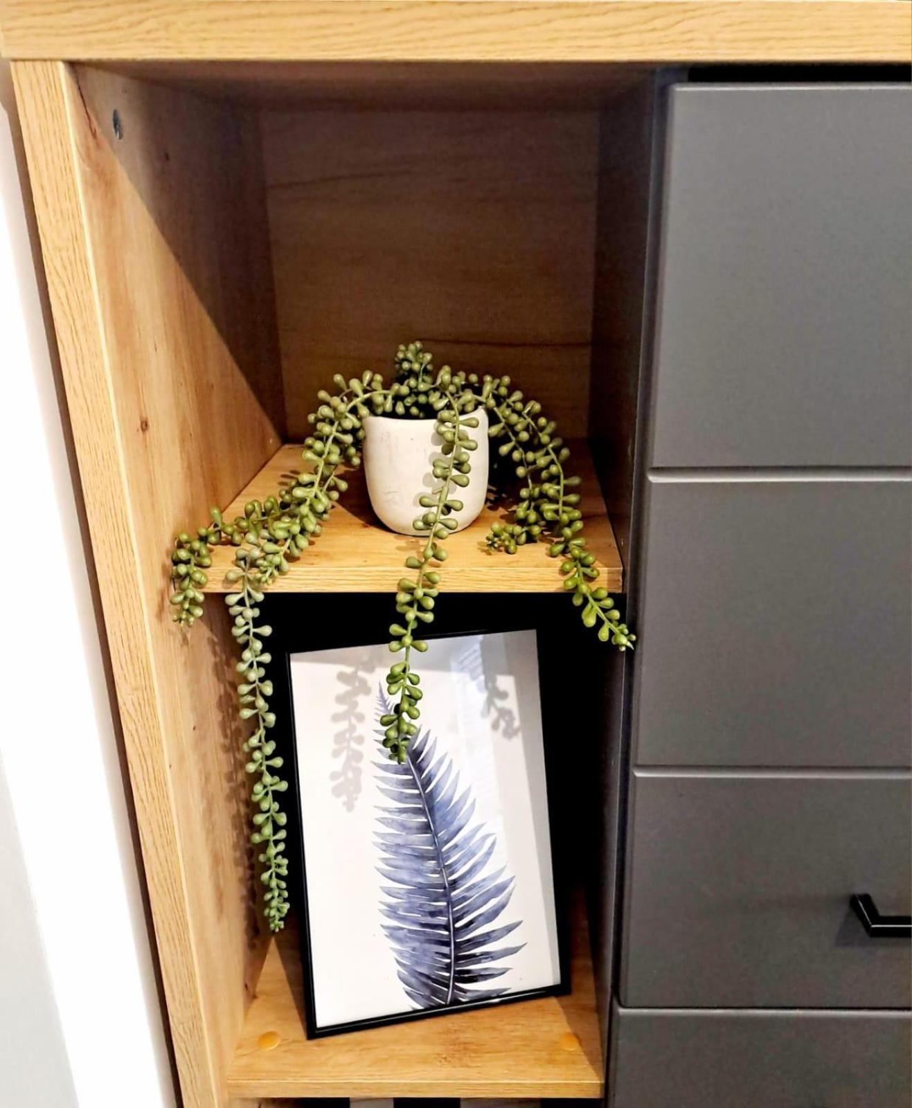 Mountain Breeze Luxury Apartment Ac & Parcare Privata ブラショフ エクステリア 写真