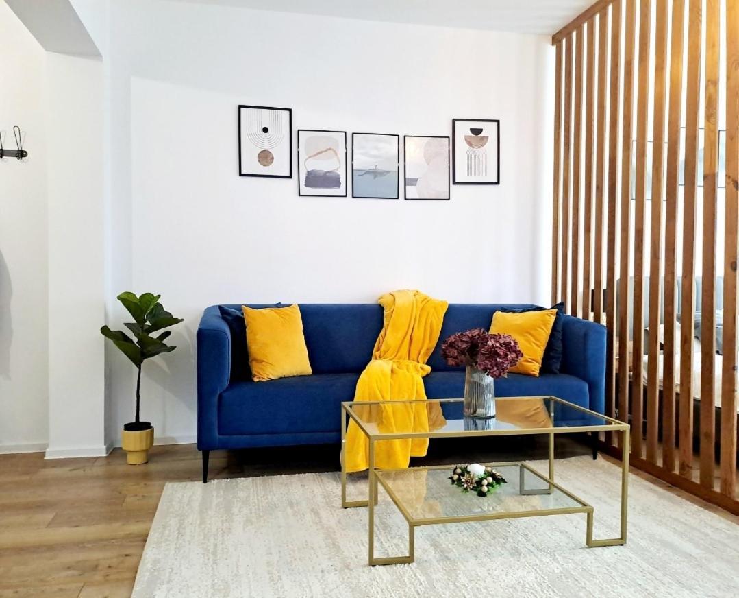 Mountain Breeze Luxury Apartment Ac & Parcare Privata ブラショフ エクステリア 写真